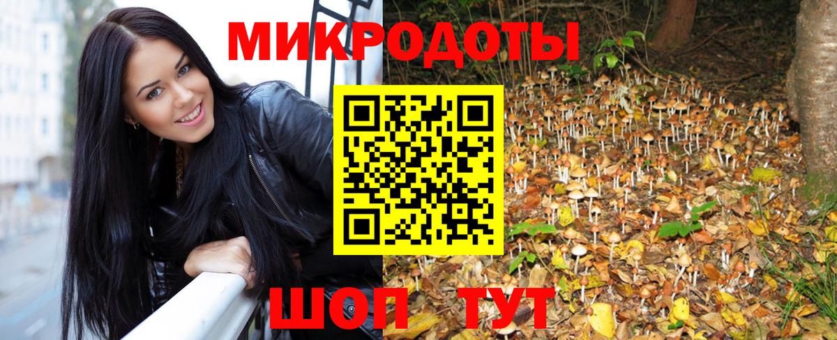 Галлюциногенные грибы ЛСД  Псилоцибиновые грибы мухоморы  даркнет сайт  Вход с VPN  Кинель 