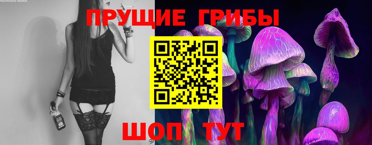 Псилоцибиновые грибы Psilocybe Кинель